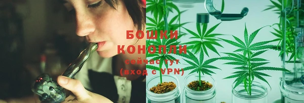 mdpv Белокуриха