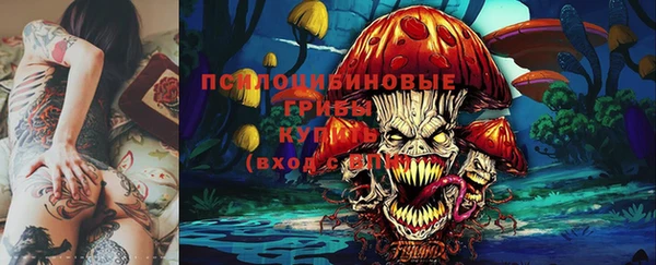 mdpv Белокуриха