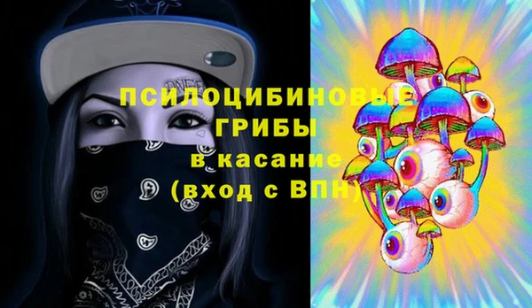 mdpv Белокуриха
