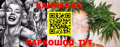 ALPHA PVP Гатчина