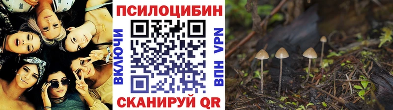 Псилоцибиновые грибы Psilocybe  наркошоп  Городец 