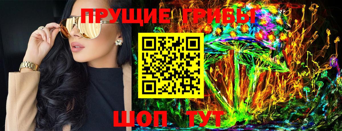 Городец  наркота  Вход с VPN  Галлюциногенные грибы Cubensis 